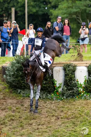 Nicolas Touzaint & Absolut Gold HDC