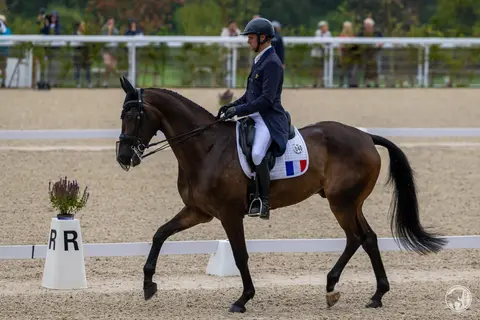 Nicolas Touzaint & Absolut Gold HDC – Championnat d’Europe de Concours Complet Haras du Pin 2023