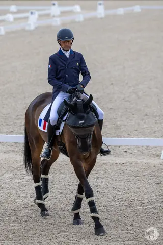 Nicolas Touzaint & Absolut Gold HDC – Championnat d’Europe de Concours Complet Haras du Pin 2023