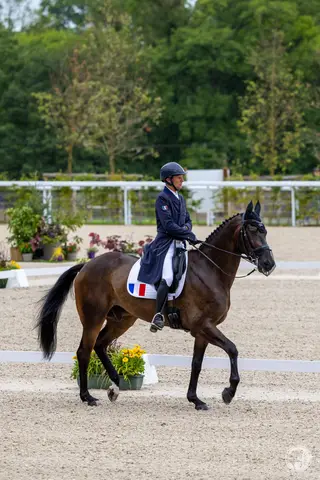 Nicolas Touzaint & Absolut Gold HDC