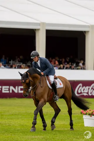 Pedro VENISS & Boeckmanns Lord Pezi Junior