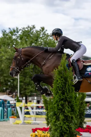 Megane Moissonnier & Cordial-2