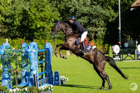 Simon Delestre & Dexter Fontenis Z