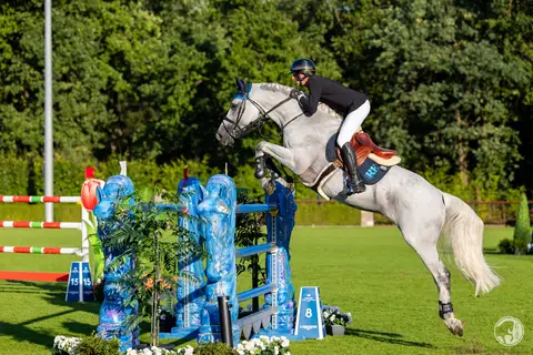 Kevin Staut & DMS Enkidu