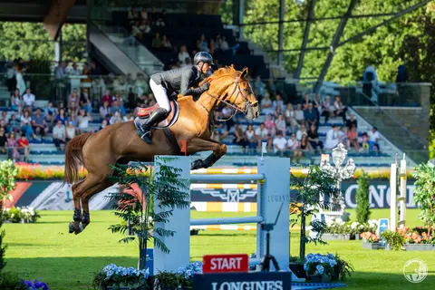 Julien Epaillard & Dubai du Cedre