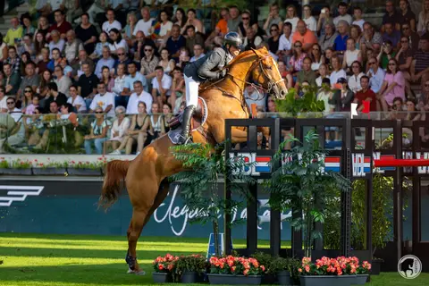 Julien Epaillard & Dubai du Cedre
