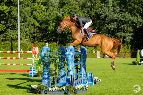 Julien Epaillard & Dubai du Cedre
